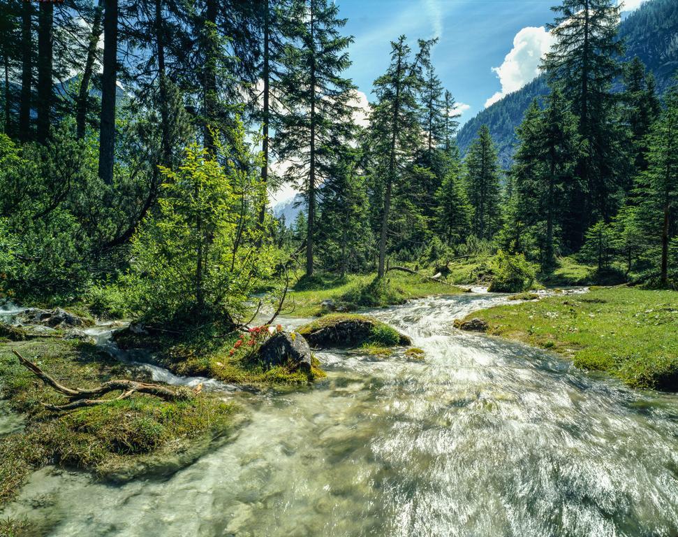 Hotel Laerchenhof Natur Seefeld in Tirol Exteriör bild