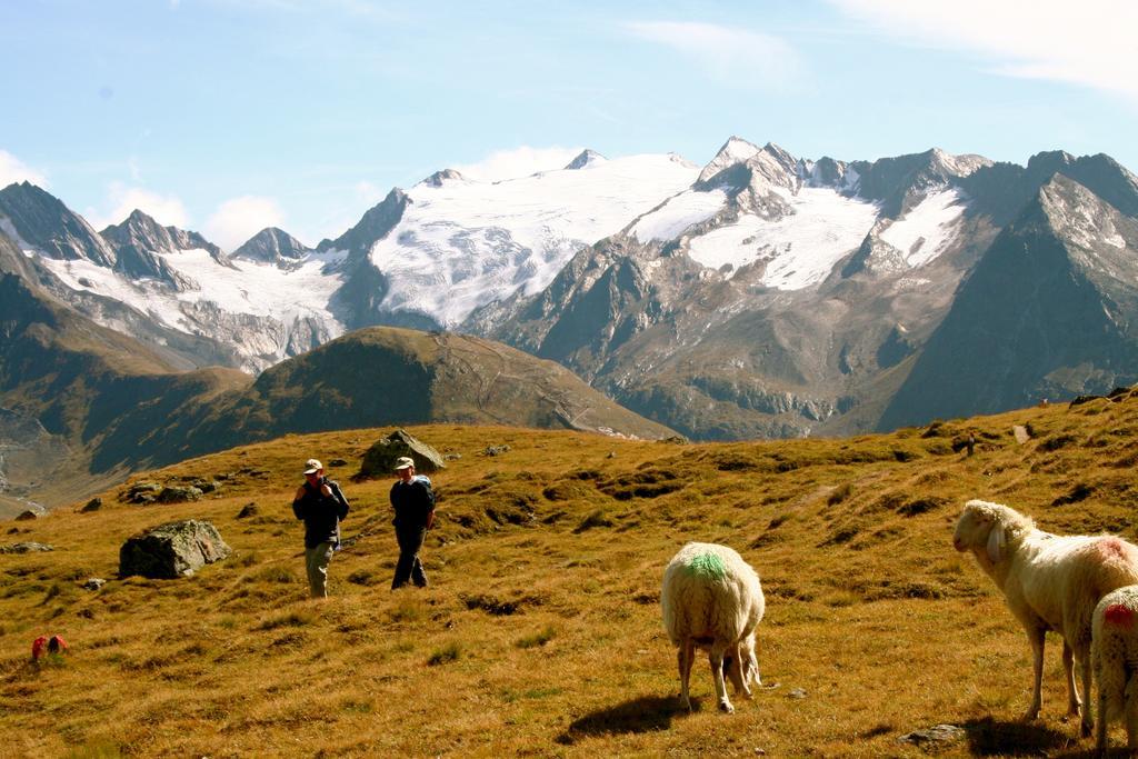 Hotel Laerchenhof Natur Seefeld in Tirol Exteriör bild